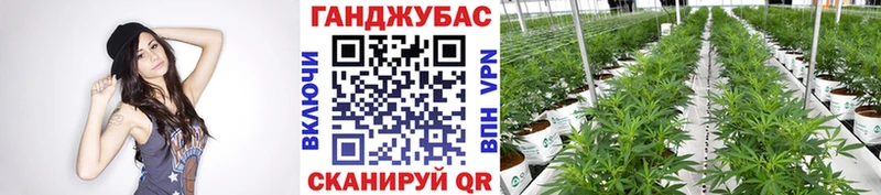 хочу   Облучье  Шишки марихуана индика 